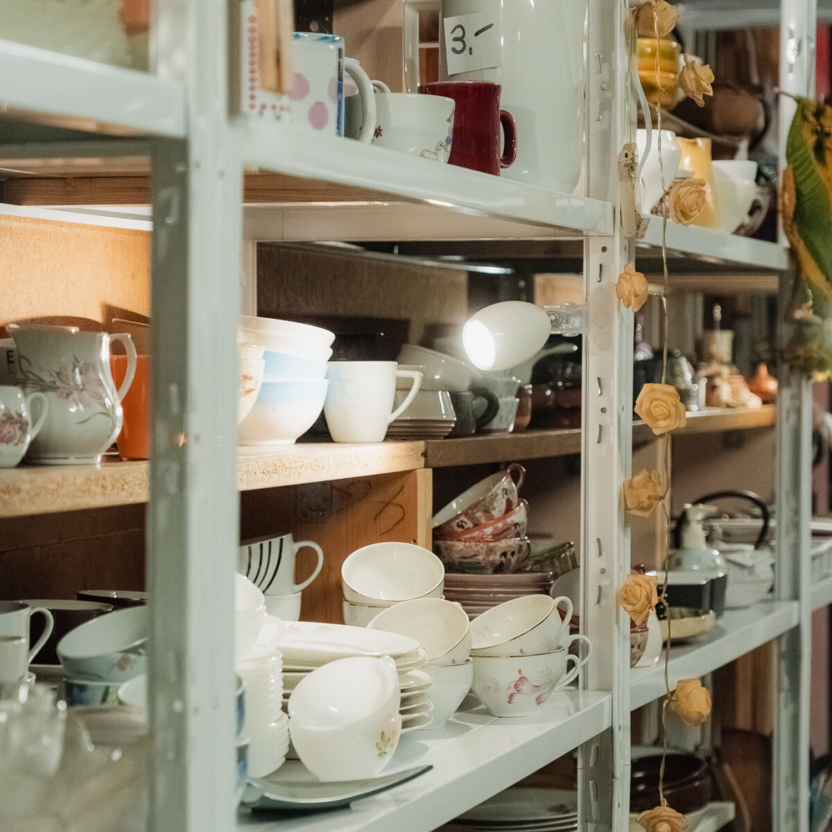 Les Puces du CPO – Photo : Jessy Marchetti