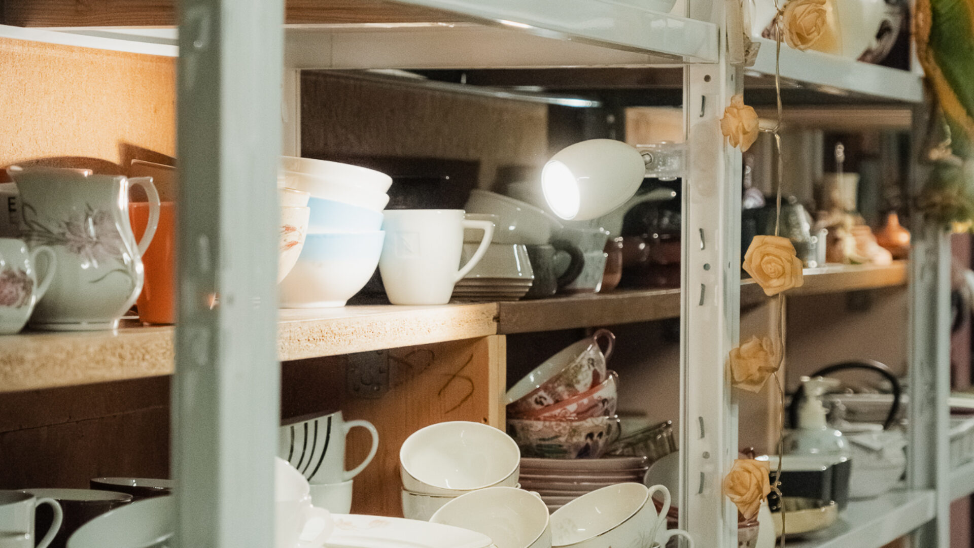 Les Puces du CPO – Photo : Jessy Marchetti