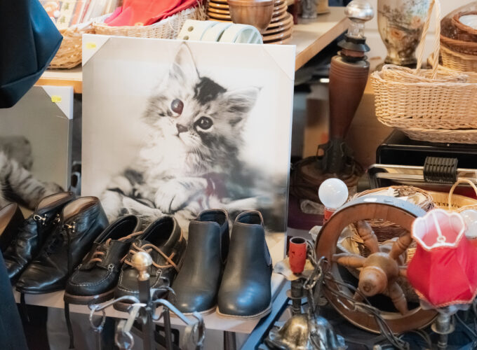 Vide-Greniers 2025 – Photo: Jessy Marchetti