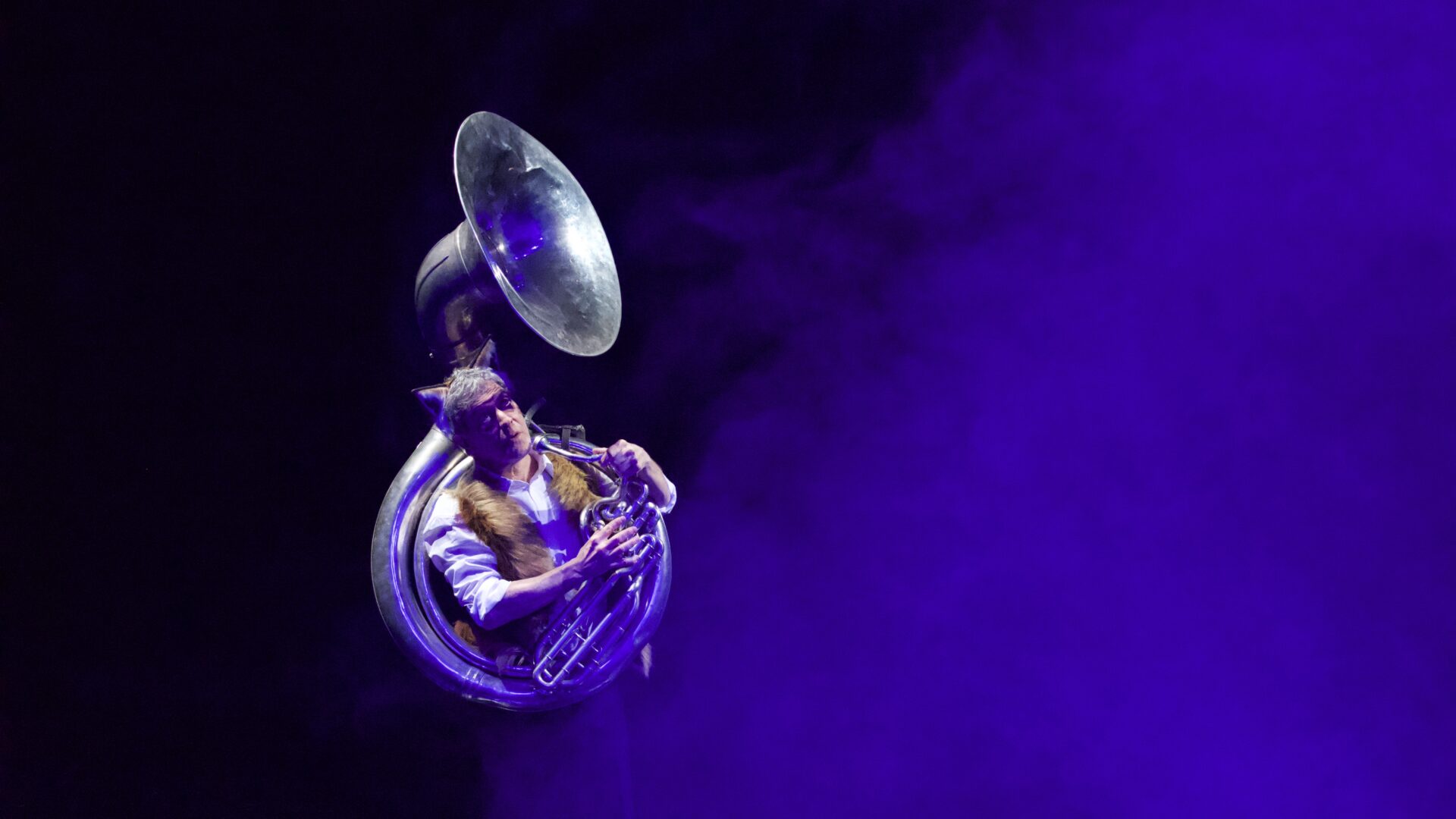 Le renard qui disait non à la lune – Photo: Joachim König